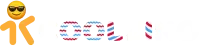 coolzino-france.site